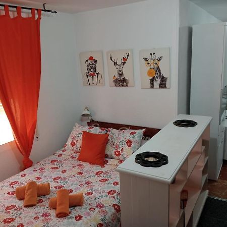 דירות מאלגה Apartamento Con Encanto 'Larios Studio' מראה חיצוני תמונה